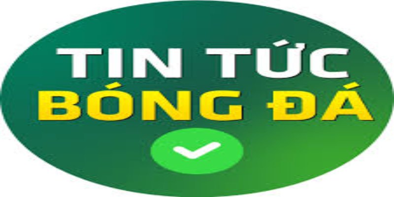 Những chuyên mục có trong lĩnh vực tin tức trong bóng đá