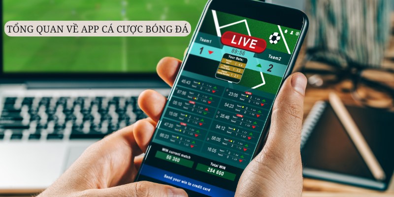 App cá cược bóng đá mang lại nhiều tiện ích cho hội viên Nhà cái uy tín