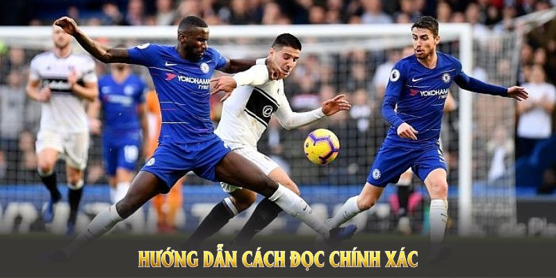 Hướng dẫn cách đọc chính xác kèo tài xỉu 0.5/1 là gì tại nền tảng